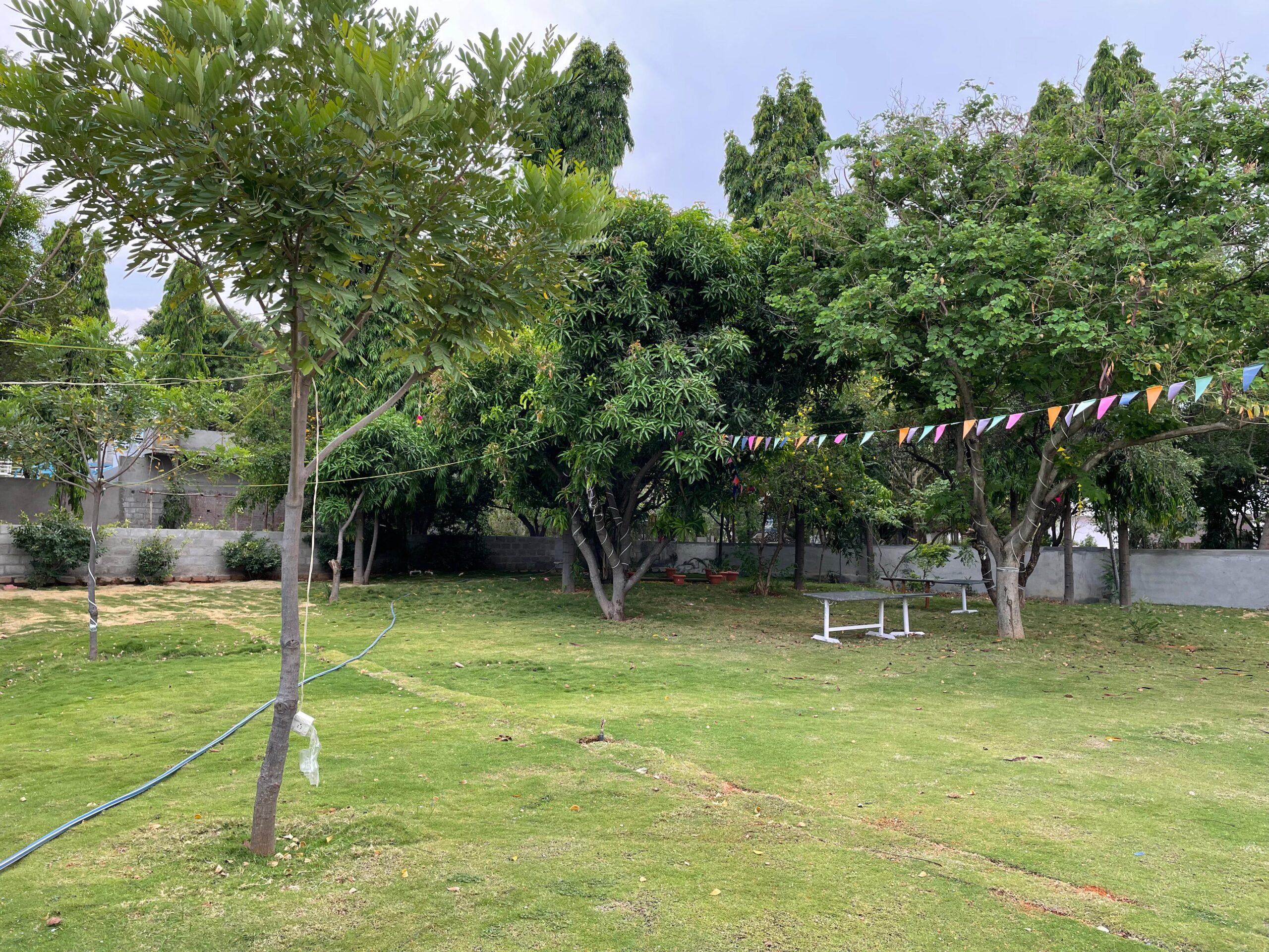 WhatsApp Image 2025-11-10 at 12.21.00 PM