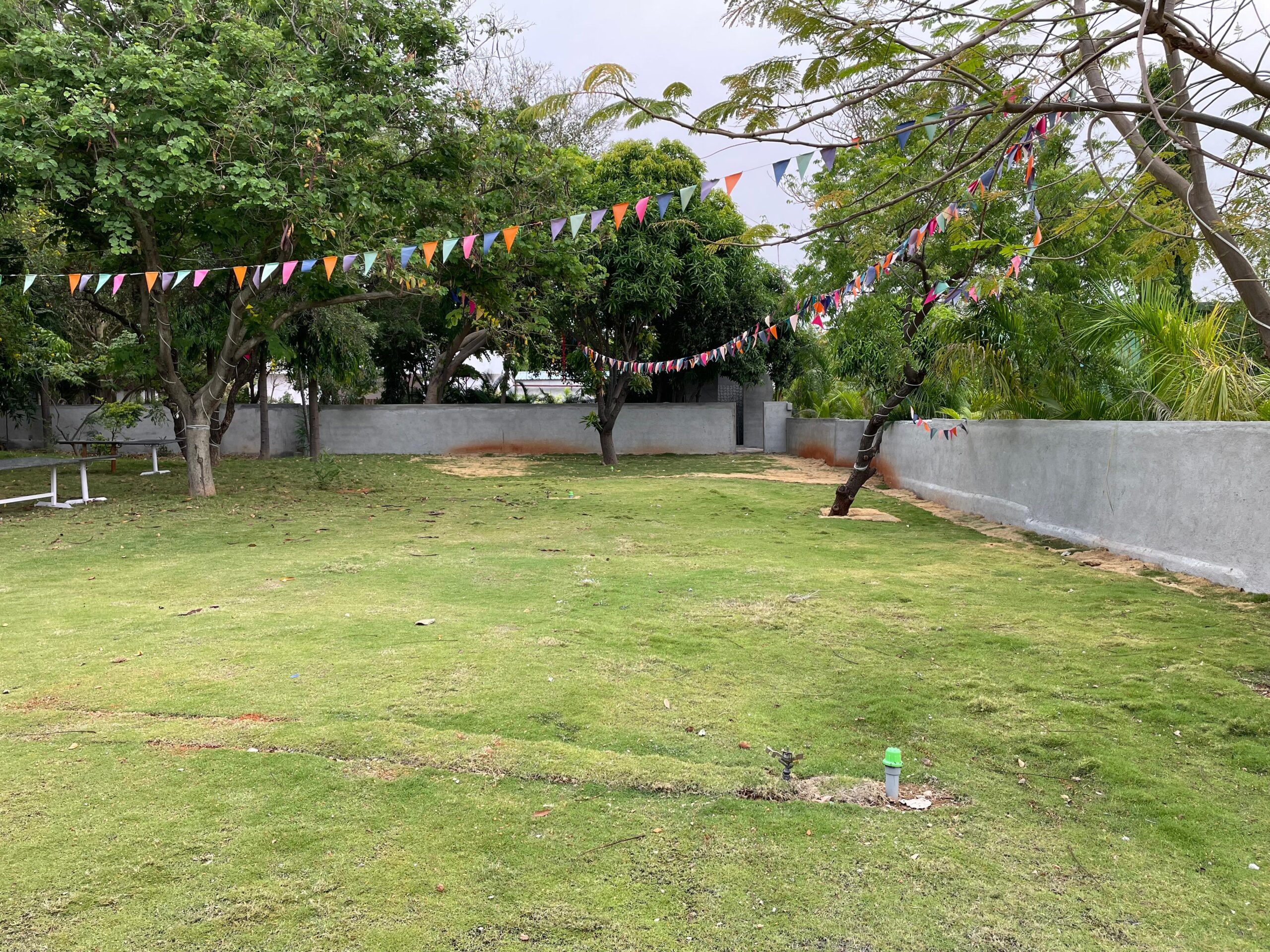 WhatsApp Image 2025-11-10 at 12.21.02 PM